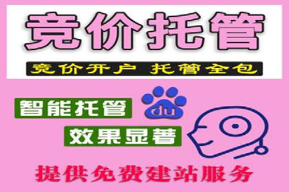 托管SEM竞价优化案例：如何提高广告投放效果
